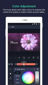 Alight Motion Mod Apk v3.10.2 –  A Video and Animation Tool 2